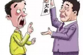 定安债务清欠服务